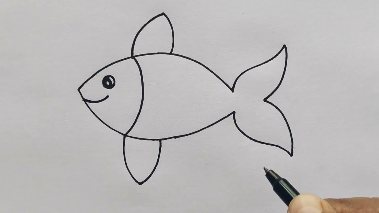 Fish Drawing Easy | how to draw fish from beginners - YouTube