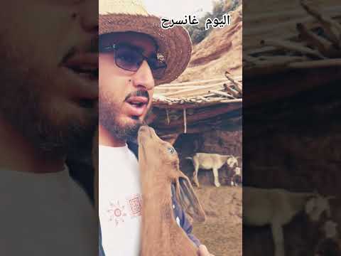 اليوم انا لي سرحت البهيمات البحريه اكسبلور ولده دويتو العريفي  المراه  النظافه
