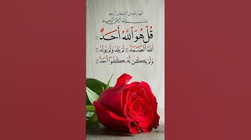 سورة الإخلاص | بصوت القارئ الشيخ فارس عباد تلاوة خاشعة حالات واتس اب قصيرة