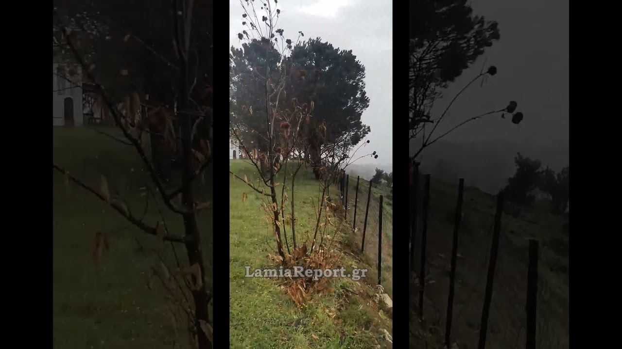 LamiaReport.gr: Χιονίζει στη Νέα Γιαννιτσού