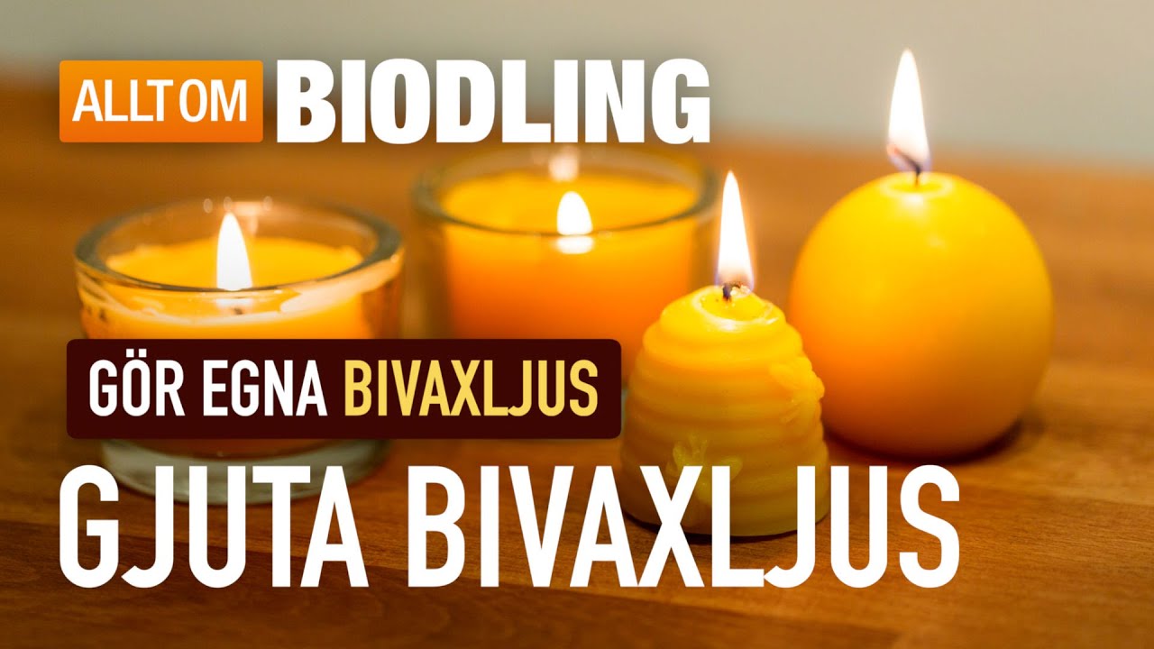 Gjuta bivaxljus - Bivax