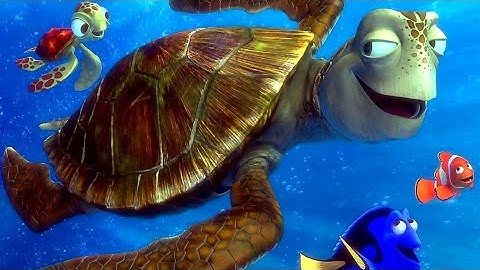 Finding Nemo , Crush (AMV)  Go with The Flow