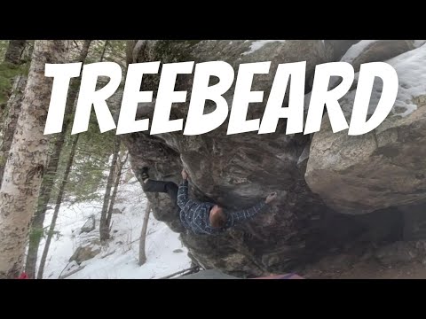 Beta Video for climb Treebeard v9, Clear Creek Canyon