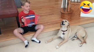 Animal Comedy Bonanza Hilarious Pet Antics And More - Petastics Laughter Fest Petastic