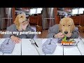 Dog Reviews Restaurant Food