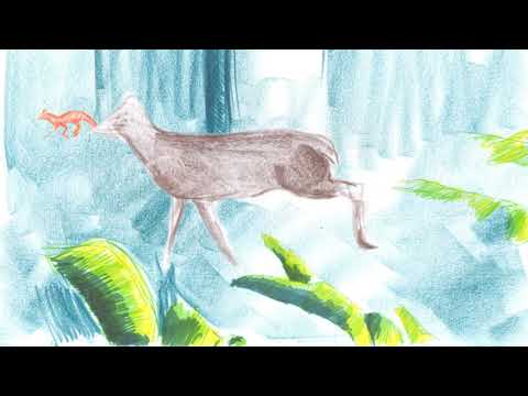 მგზავრი