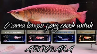 LAMPU AQUARIUM ARWANA | GOLDEN RED screenshot 3