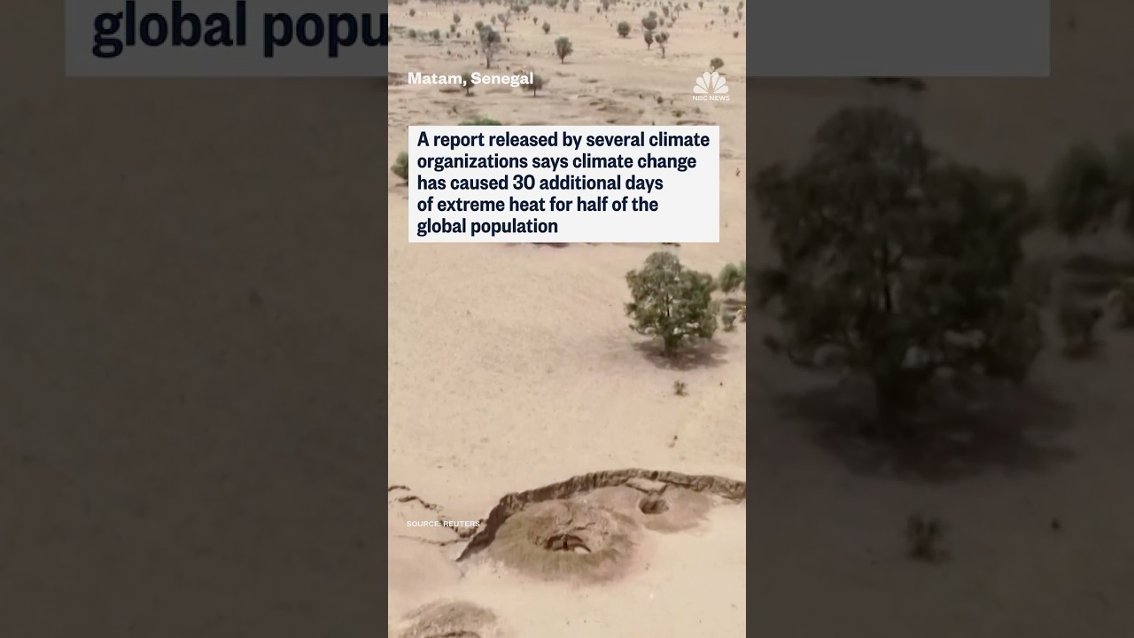 Climate change drives month-long heatwave for 4 billion people across the world, report finds