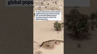 Climate change drives month-long heatwave for 4 billion people across the world, report finds