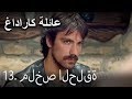 عائلة كاراداغ 13 ملخص الحلقة