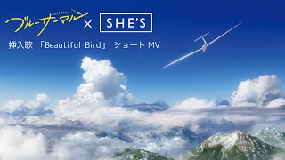 映画『ブルーサーマル』挿入歌「Beautiful Bird」(SHE'S)ショートMV／2022年3月公開