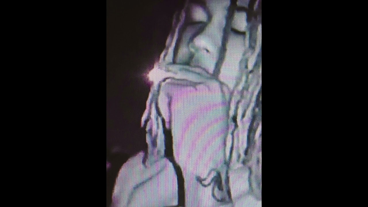 Khali Type Beat ~ Indica