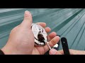 End of video