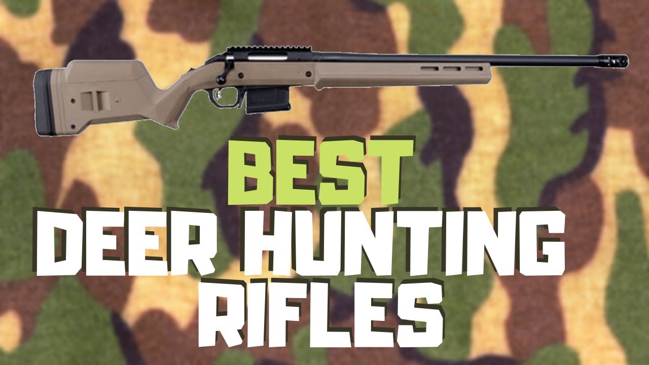 Best Deer Hunting Rifle Top Deer Hunting Rifles For The Money