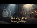 أخيراً اسمع الإجابة من القرآن والسنة هل تتجوّل أرواح موتانا بيننا وترانا؟ أم أنها محبوسة في القبور؟ 