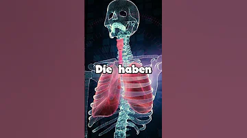 Können Schweine nicht in den Himmel schauen?