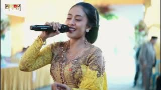 NonStop Dangdut Koplo Terbaru 2024 || Seta Musica Terbaru 2024 || LDR - WEWAYANGAN - KITIR SUMILIR