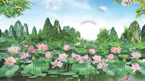 50 Mẫu Tranh 3D Vải Lụa Hoa Sen Tuyệt Đẹp P1 - Xưởng In Tranh 3D Vải Lụa Sài Gòn