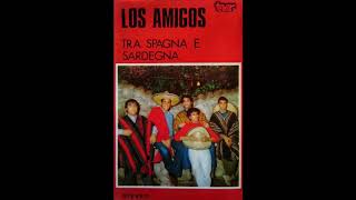 Miniatura de vídeo de "Los Amigos - La Casa In Via Del Campo"
