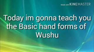 Wushu 101 basic