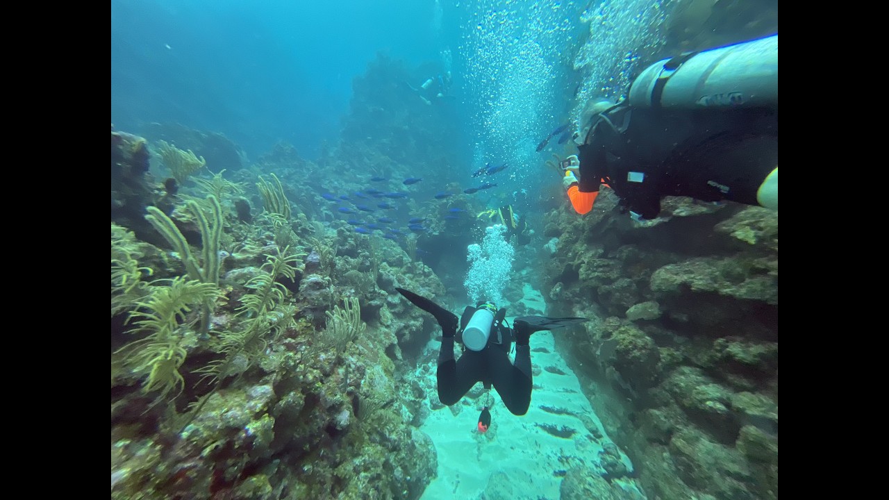 Utila, Honduras January 2026