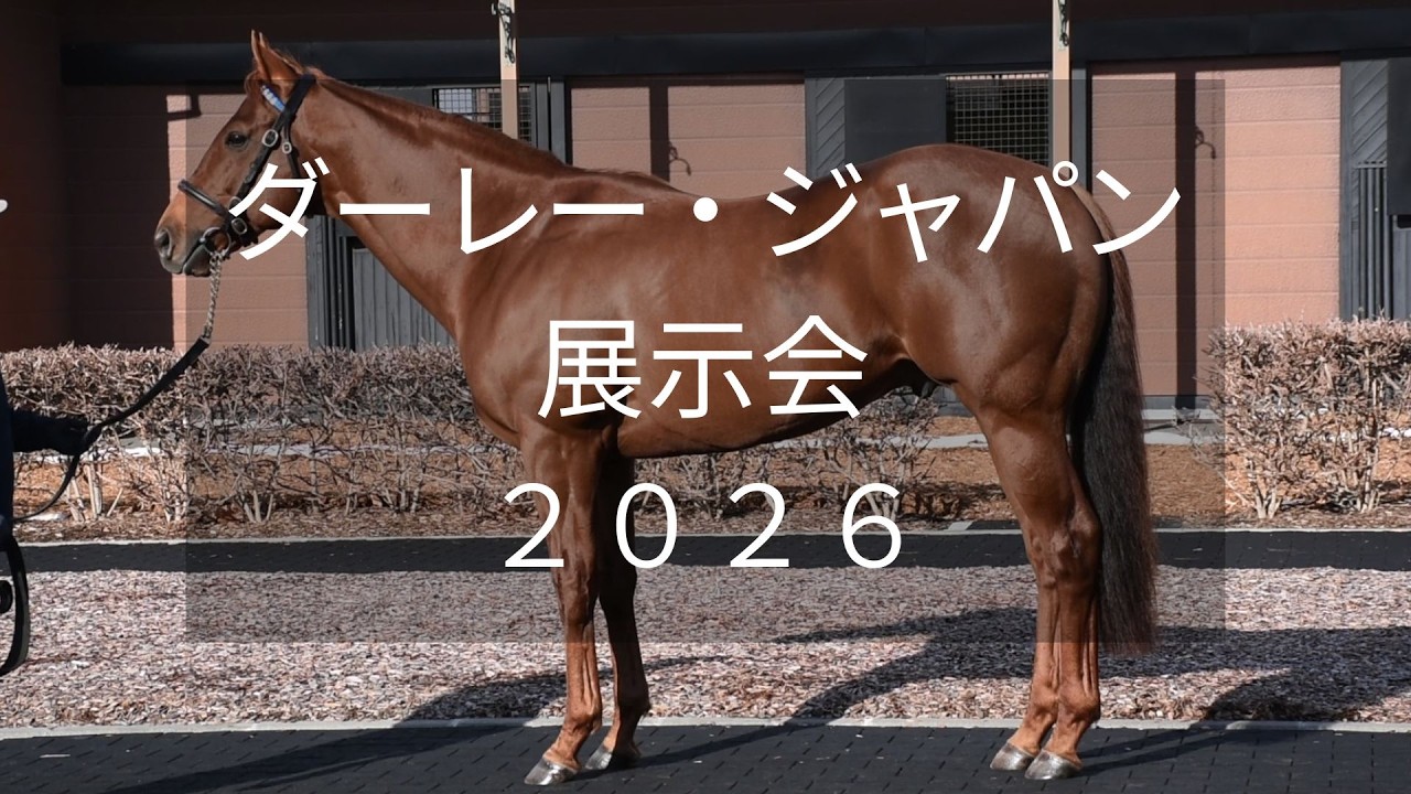 2026年 ダーレー・ジャパン スタリオンコンプレックスの特集・最新情報