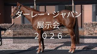 Darley Japan Exhibition 2026] 12 horses including Lemon Pop and