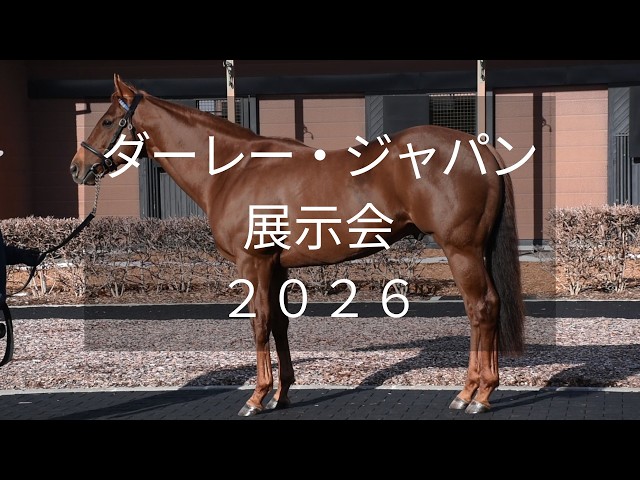 Darley Japan Exhibition 2026] 12 horses including Lemon Pop and