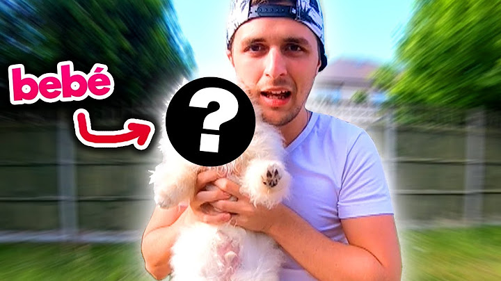 Nuestro nuevo PERRO 😱