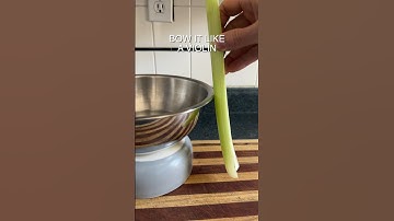 Celery Violin                                #celery #violin #physics