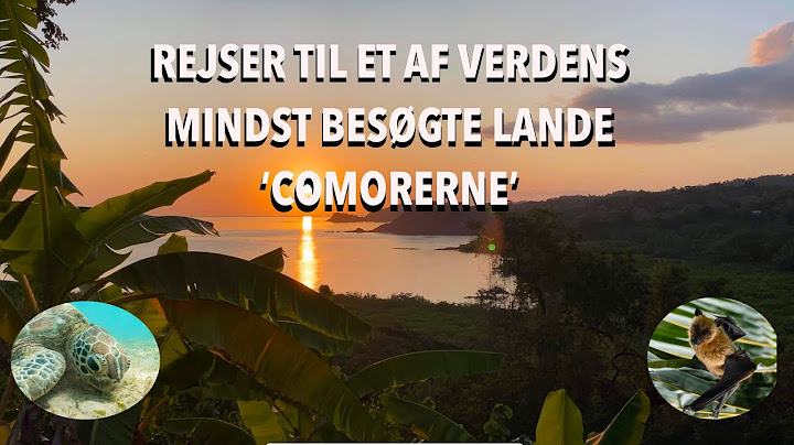 REJSER TIL DET NIENDE MINDST BESØGTE LAND I VERDEN OG DYKKER MED HAVSKILDPADDER *rejsevlog*