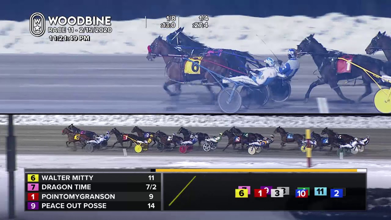 Woodbine, Mohawk Park, February 15, 2020 Race 11 - YouTube