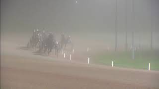 Vidéo de la course PMU PRIX COCKS VLEESWAREN