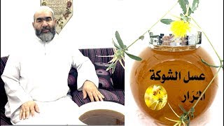 عسل المرار ( الشوكي ، الشوكيات ) - الشيخ نمر سلفيتي