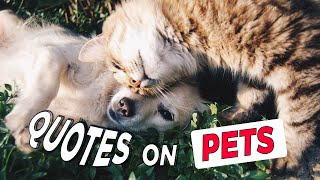 Most Humorous and Funny Quotes on Pets Funny Quotes MUST WATCH Simplyinfo net