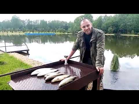 дубна рыбалка. рыболовное хозяйство маврино. "рыбалка в ольгово", дмитровское шоссе, д. рыбное дмитровский район. ольгово 3 платная рыбалка.