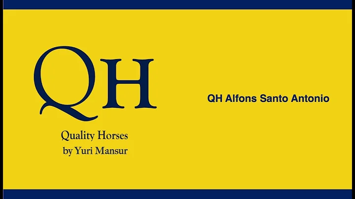 Qh Alfons & Yuri Mansur - Herning