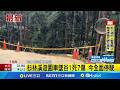 杉林溪遊園車墜谷意外