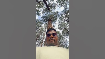 Netarhat 😊 #netarhat #jharkhand #shorts #minivlog