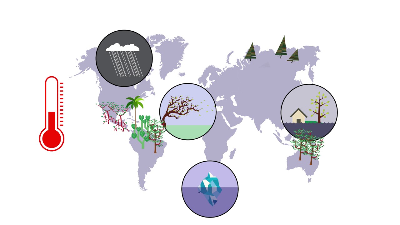 Climate change and biodiversity in Latin America and the Caribbean