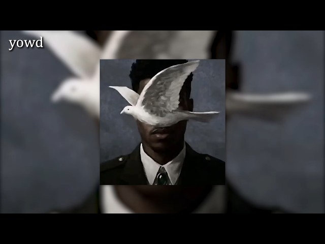 Meant To Be (slowed + reverb) | LTG TikTok Version