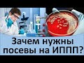 Зачем нужны посевы на ИППП