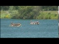 Canadian Dragon Boat Championships 2014 ★ Race 48