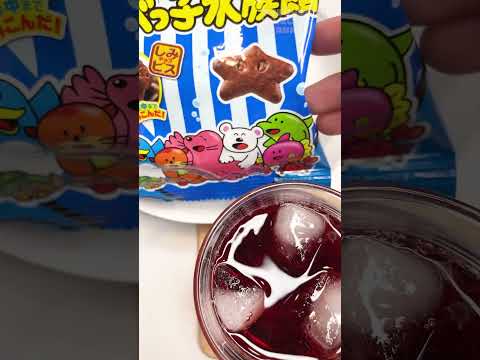 【ASMR】またまたお菓子で生活音撮ってみました。 ハリネズミ君も登場するよ！ #shorts #asmr #asmrsounds