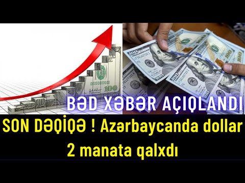 Video: Birinci kurs tələbələrinin Gonzaga-da avtomobilləri ola bilərmi?