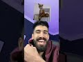 قط مقرد هذاك زهر قط مقرد هذاك زهر