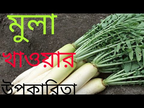 ভিডিও: Daikon - জাপানি মূলা: পরিষ্কার এবং স্টোরেজ, বিভিন্ন