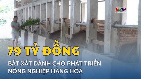 Bát Xát dành hơn 79 tỷ đồng cho phát triển nông nghiệp hàng hóa | THLC