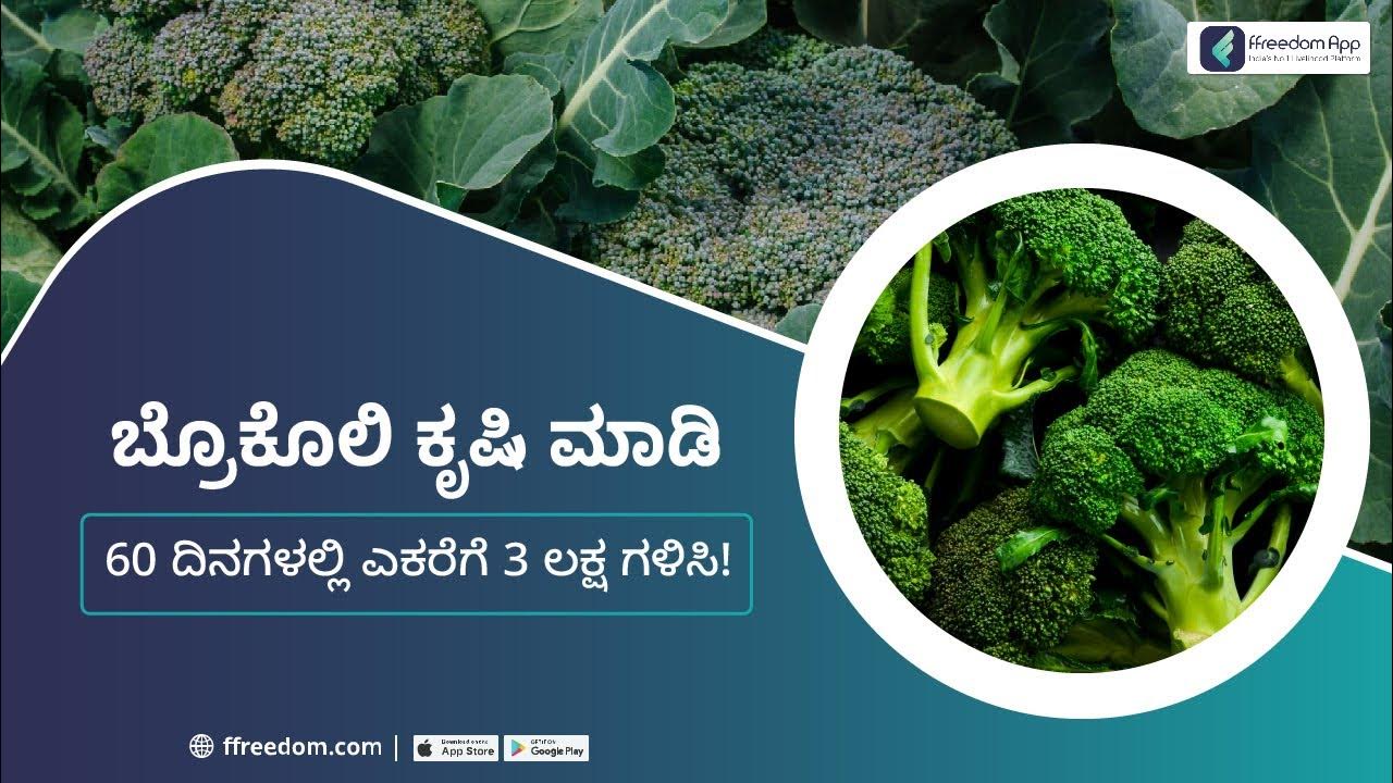 Broccoli Farming Course Trailer in Kannada ffreedom App YouTube