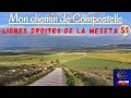 Mon chemin de compostelle  espagne  le camino frances